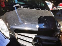 2010 Mercedes Benz B200
