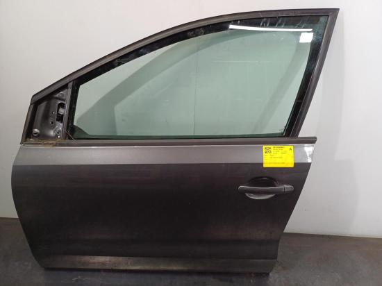 volkswagen polo LEFT FRONT DOOR 