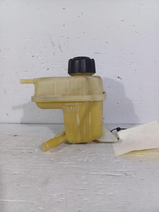nissan Dualis 2010 OVERFLOW BOTTLE 