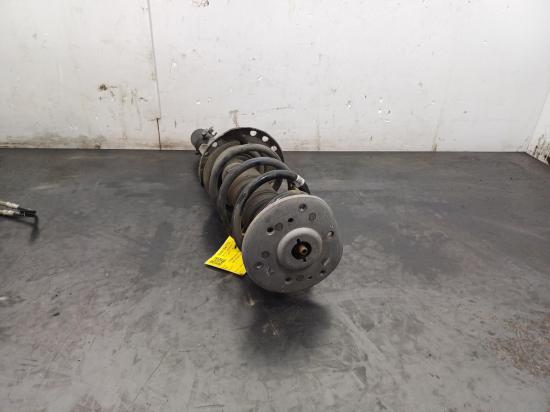 land rover Range Rover Evoque LV Nov 2017 LEFT FRONT STRUT 