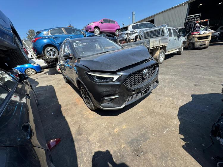 Mg Zst 2023