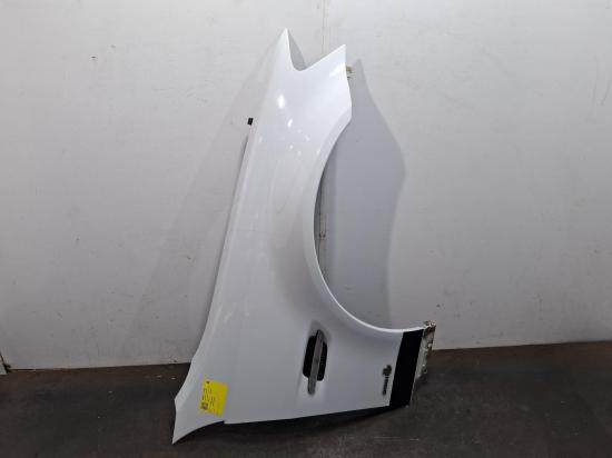 holden Commodore VE II Oct 2010 RIGHT GUARD