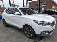 Mg Zs 2018
