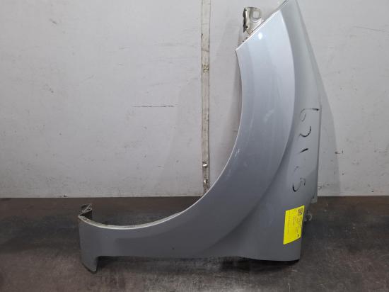 ford Fiesta WZ Aug 2014 LEFT GUARD 