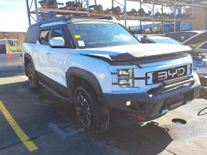 BYD Shark 6 2024