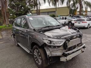 LDV D90 2022