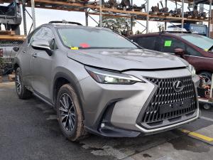 Lexus NX200T/NX300H 2022