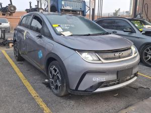 BYD Dolphin 2025