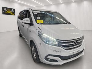 LDV G10 2015