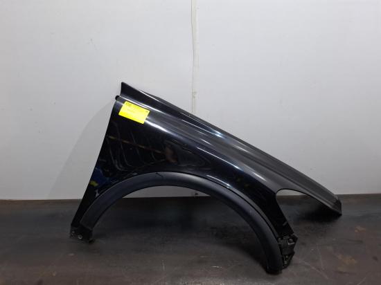 volvo c30 RIGHT GUARD 