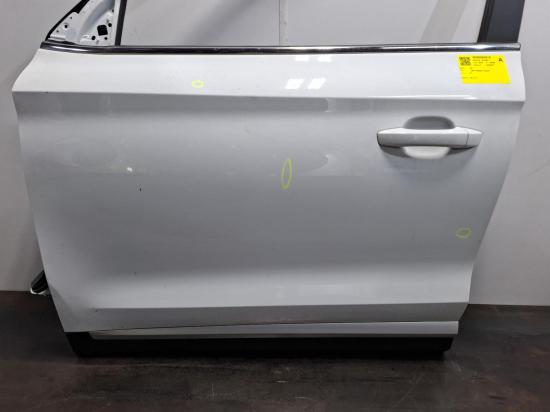 mg zs LEFT FRONT DOOR 