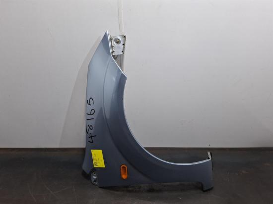 ford fiesta RIGHT GUARD 