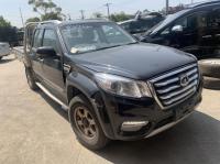 2018 Great Wall Steed STEED image 1