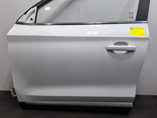 mg Zs LEFT FRONT DOOR 