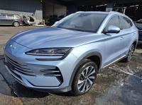 2024 Byd Sealion 6 SA3 image 1