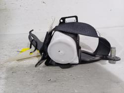 2021 Honda Civic 10TH GEN image 1