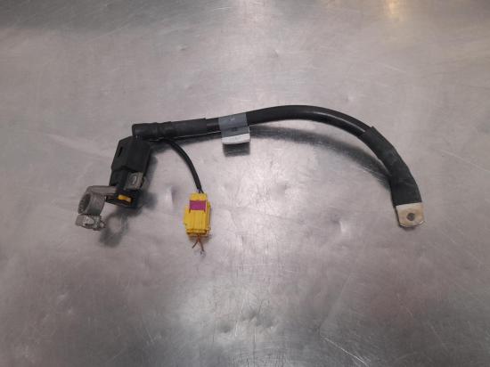 bentley Continental 2005 Wiring Harness 