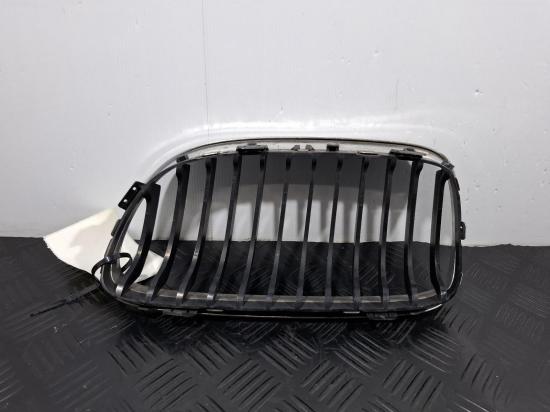 bmw 3 Series E90 Nov 2009 GRILL