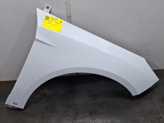 ford Focus 2013 RIGHT GUARD