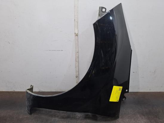 ford Fiesta 2011 LEFT GUARD