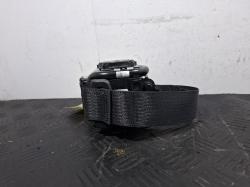 2024 Tesla Model Y image 1