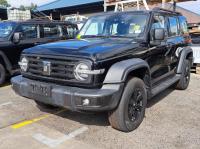 2023 Gwm Tank 300 image 1