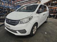 2019 Ldv G10 VAN 1.9DT MAN 6SPD RWD SV7C image 1