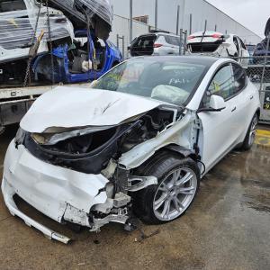 2023 Tesla Model Y image 1