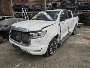 2022 Gwm Cannon 2.0DT GW4D20M AUTO 8SPD 4WD DUAL CAB image 1