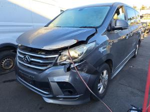 2021 Ldv G10 image 1