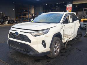 2024 Toyota Rav4 AXAH54R image 1
