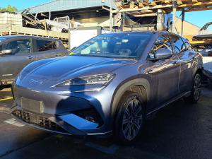 2025 Byd Sealion 7 image 1