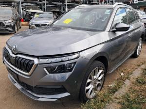 2022 Skoda Kamiq NW image 1
