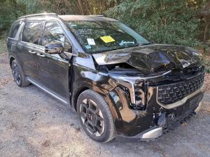 Kia Carnival image 1