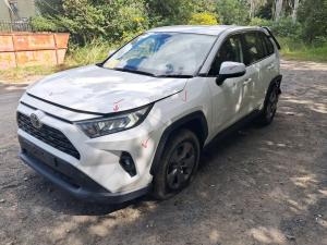 2023 Toyota Rav4 image 1