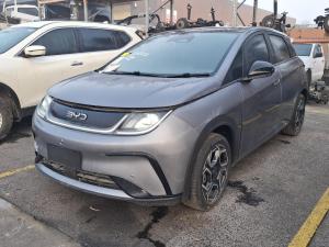 2025 Byd Dolphin image 1