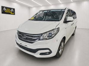 2018 Ldv G10 WAGON 2.0T AUTO 6SPD RWD 9 SEAT image 1