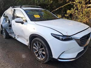 2017 Mazda Cx9 image 1