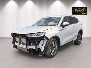 2024 Haval H6 B01 1.5T GW4B15 HEV AUTO 7SPD FWD ULTRA HYBRID image 1