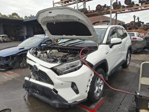 2021 Toyota Rav4 AXAH52R image 1