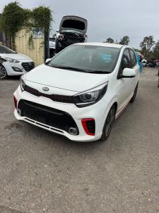 2019 Kia Picanto MY 19 image 1