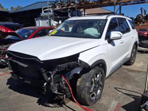 2023 Hyundai Palisade D4HB image 1