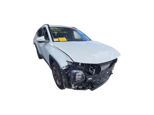 Hyundai Tucson NA4 ELITE image 1