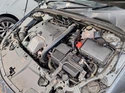 Holden image 2