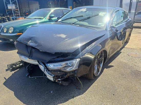audi A5 FUEL DOOR/FILLER 