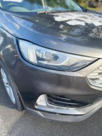 2020 Ford Endura image 2