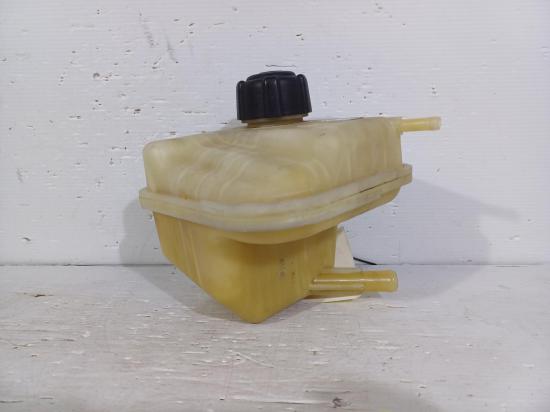 nissan Dualis 2010 OVERFLOW BOTTLE 