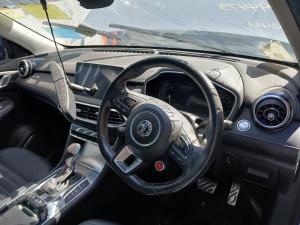 2020 Mg Hs SAS23 image 2