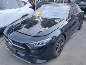 2023 Mercedes Benz A Class W177/V177 image 2