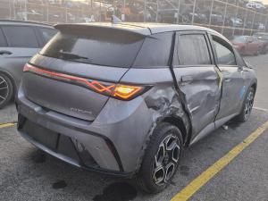 2025 Byd Dolphin image 2